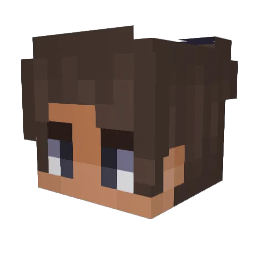 Toners Minecraft avatar head, 3D render