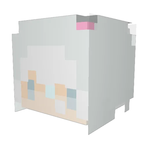 Tonersirt Minecraft avatar head, 3D render