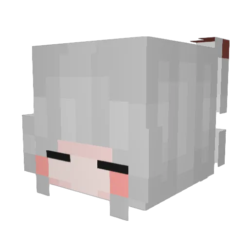 Tonesfish Minecraft avatar head, 3D render