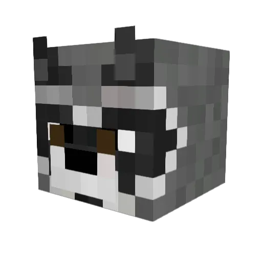 ToneyTrash003 Minecraft avatar head, 3D render