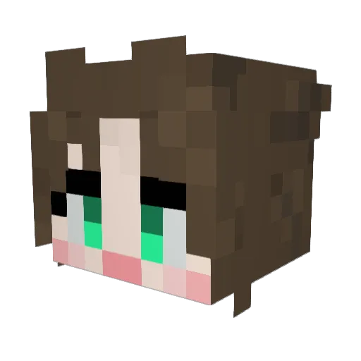 Tong220 Minecraft avatar head, 3D render