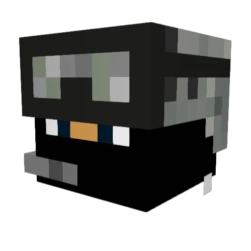 Toni241299 Minecraft avatar head, 3D render