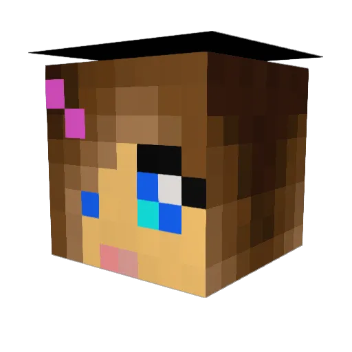 Toni82 Minecraft avatar head, 3D render