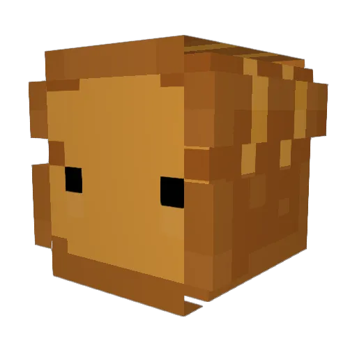 ToniCrafts2 Minecraft avatar head, 3D render