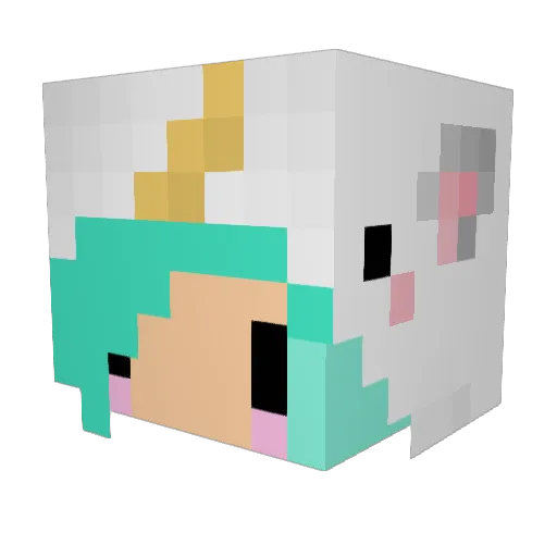 ToniTails Minecraft avatar head, 3D render