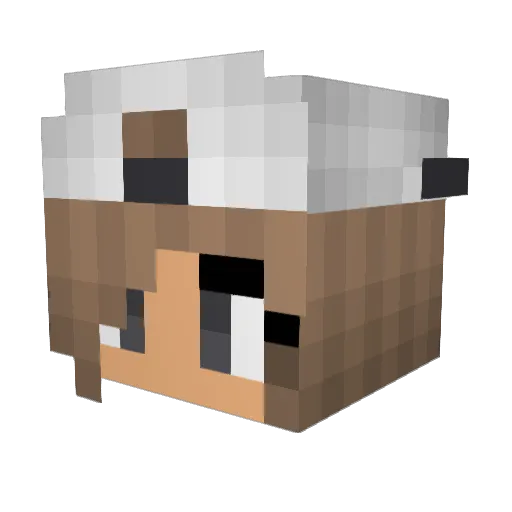 ToniXV Minecraft avatar head, 3D render