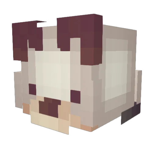 Tonic001 Minecraft avatar head, 3D render