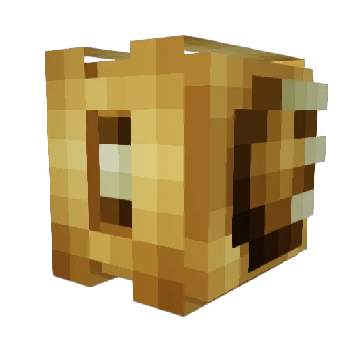 TonicKnight Minecraft avatar head, 3D render