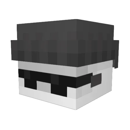 Tonicality Minecraft avatar head, 3D render