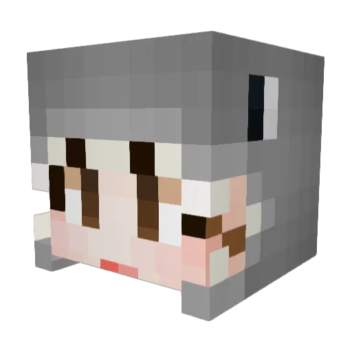 Tonight2036 Minecraft avatar head, 3D render