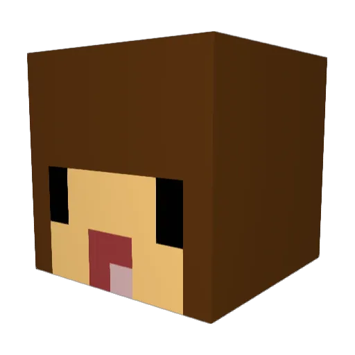 Tonii25 Minecraft avatar head, 3D render