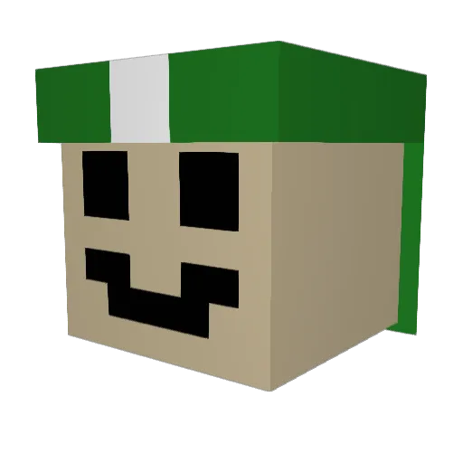 Tonik76 Minecraft avatar head, 3D render