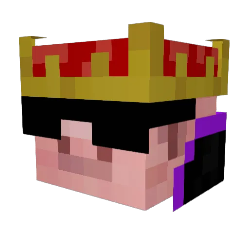 Toniki123 Minecraft avatar head, 3D render