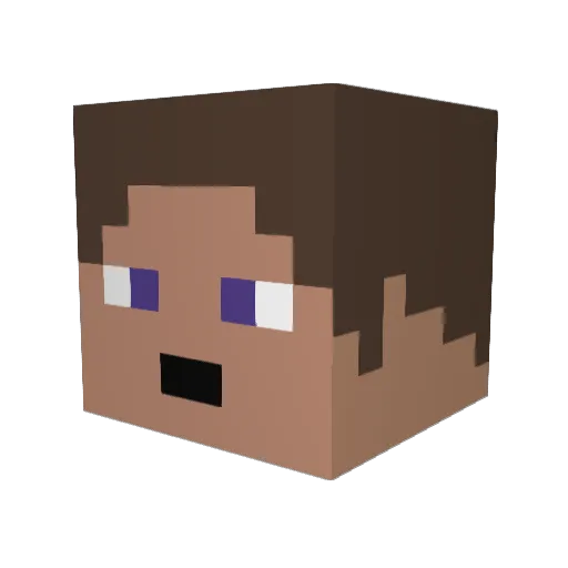 Tonin13 Minecraft avatar head, 3D render