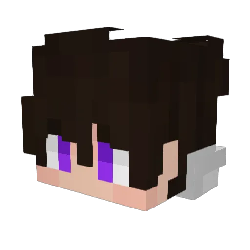 Toninhoo_ Minecraft avatar head, 3D render