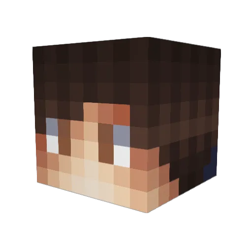 Tonix_Gaming Minecraft avatar head, 3D render