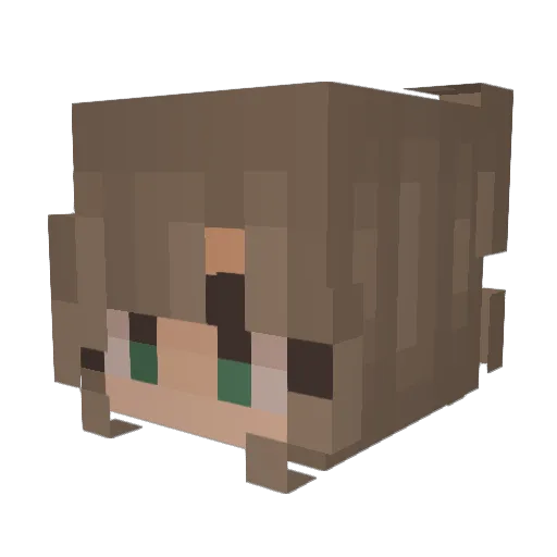 Tonjaaa Minecraft avatar head, 3D render