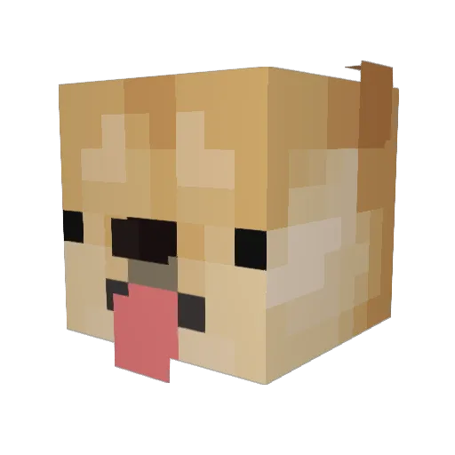 Tonke Minecraft avatar head, 3D render