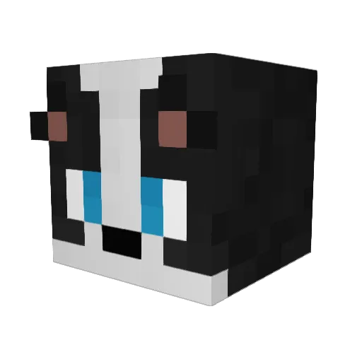 Tonken_ Minecraft avatar head, 3D render