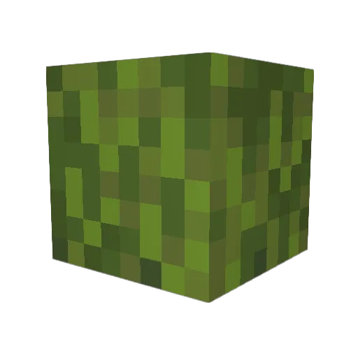 Tonkie Minecraft avatar head, 3D render