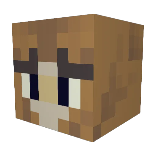 TonkotuTorotoro Minecraft avatar head, 3D render