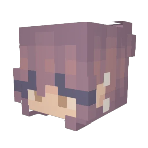 Tonks357 Minecraft avatar head, 3D render