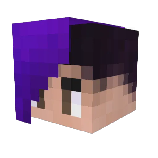 TonkyP Minecraft avatar head, 3D render