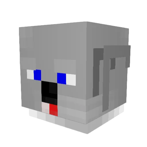 Tonlicy Minecraft avatar head, 3D render