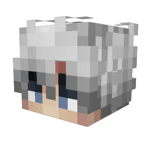 Tonn_yo Minecraft avatar head, 3D render