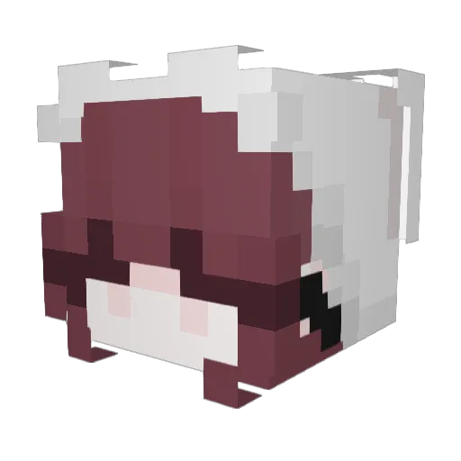 Tonnberi00 Minecraft avatar head, 3D render