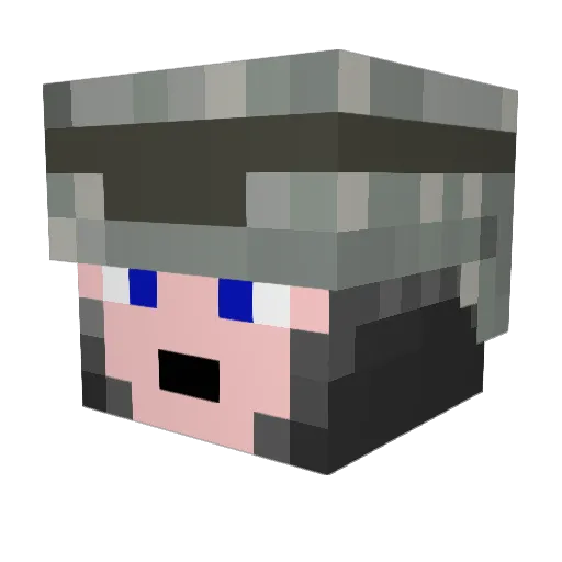 TonniTheWB Minecraft avatar head, 3D render
