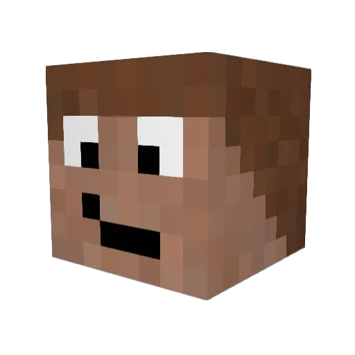 Tonoplayz Minecraft avatar head, 3D render