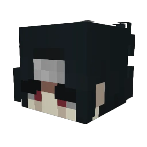 Tonoto315 Minecraft avatar head, 3D render
