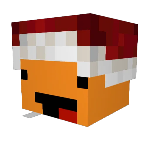 Tonquy11 Minecraft avatar head, 3D render