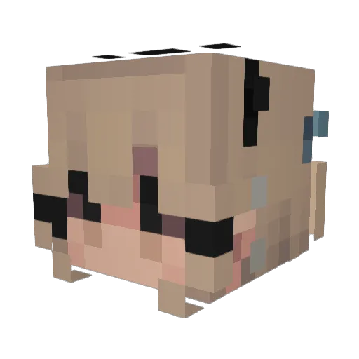 Tonrex33 Minecraft avatar head, 3D render