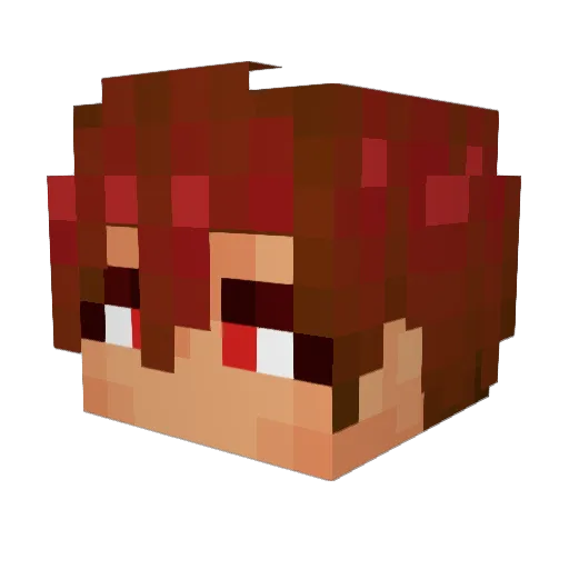 Tons_Gaming Minecraft avatar head, 3D render