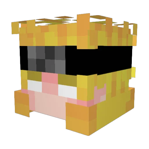 Tonto2748 Minecraft avatar head, 3D render