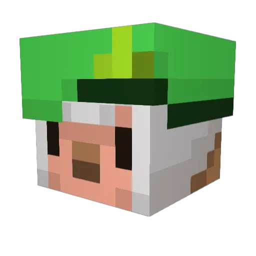 Tontonn Minecraft avatar head, 3D render