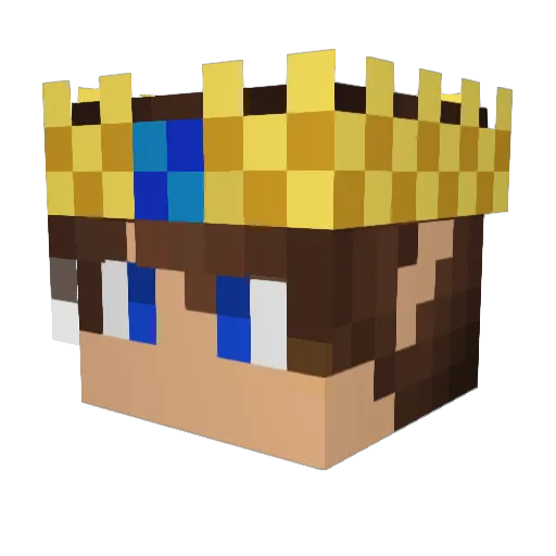 Tony1407 Minecraft avatar head, 3D render