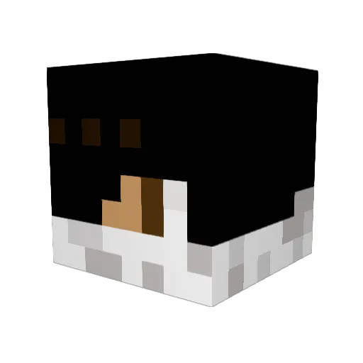 Tony338 Minecraft avatar head, 3D render