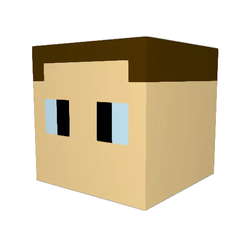 Tony786525 Minecraft avatar head, 3D render