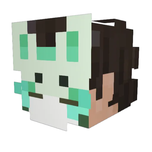 TonyBlayze Minecraft avatar head, 3D render
