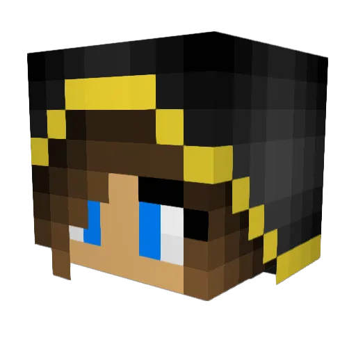 TonyChocolonely Minecraft avatar head, 3D render