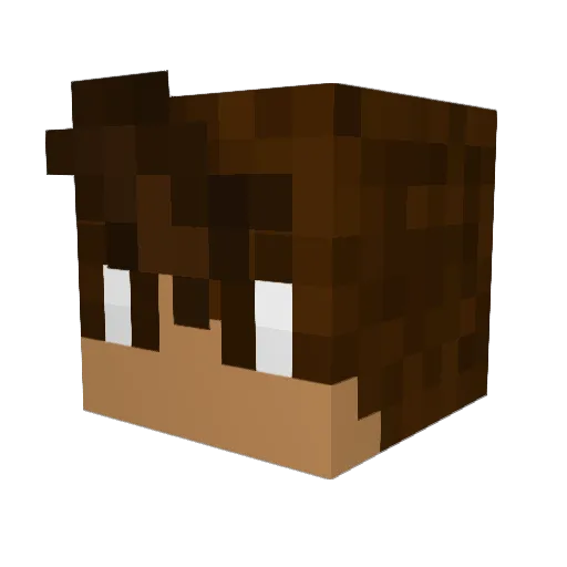 TonyFLP Minecraft avatar head, 3D render