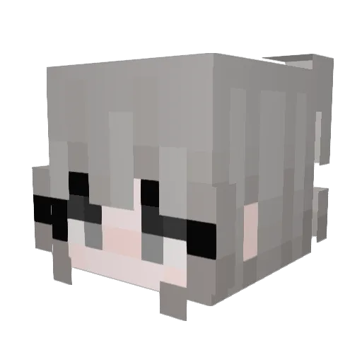 TonyFan Minecraft avatar head, 3D render