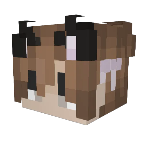 TonyHawk7321 Minecraft avatar head, 3D render