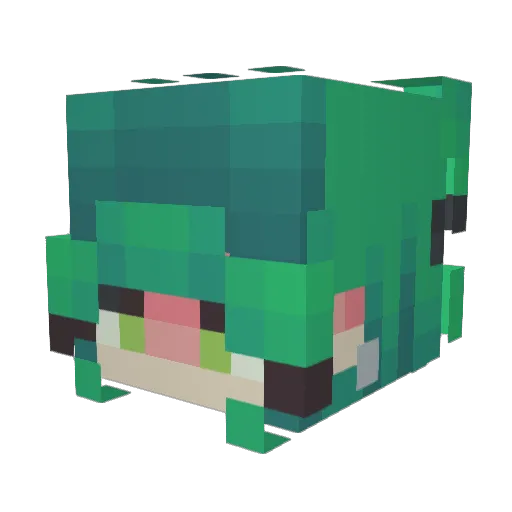 TonyLuvsToes Minecraft avatar head, 3D render