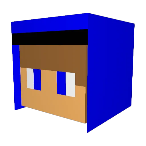 TonyS9 Minecraft avatar head, 3D render