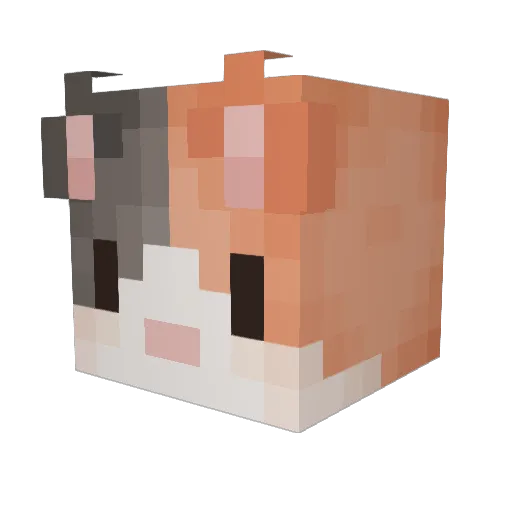TonyTheCatIII Minecraft avatar head, 3D render