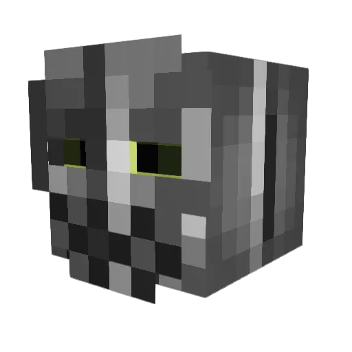 TonyTheTiger2010 Minecraft avatar head, 3D render